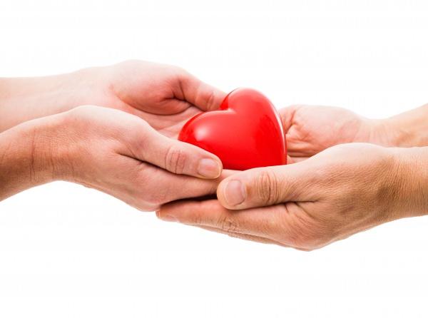 3 Kasım 2015 Organ Bağışı Haftası